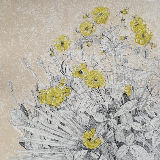 Line drawing illustration of a floral arrangement with lush vegetation, featuring vibrant yellow flowers against a textured light tan background. The detailed pen work depicts various plant elements including large, ribbed leaves, delicate stems, and the prominent, layered petals of the blossoms, with some buds and seed pods visible.