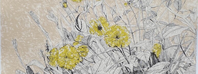 Line drawing illustration of a floral arrangement with lush vegetation, featuring vibrant yellow flowers against a textured light tan background. The detailed pen work depicts various plant elements including large, ribbed leaves, delicate stems, and the prominent, layered petals of the blossoms, with some buds and seed pods visible.