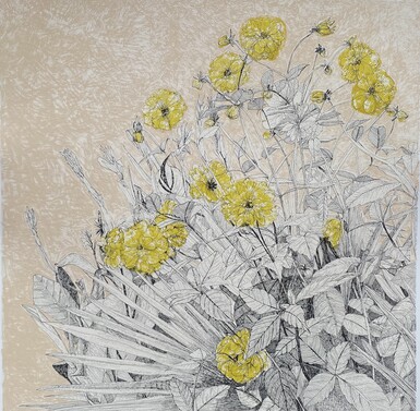 Line drawing illustration of a floral arrangement with lush vegetation, featuring vibrant yellow flowers against a textured light tan background. The detailed pen work depicts various plant elements including large, ribbed leaves, delicate stems, and the prominent, layered petals of the blossoms, with some buds and seed pods visible.