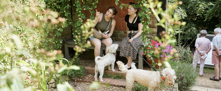 Two young women with two small poodle dogs in Limnerslease garden, women seated on a wooden bench, one pointing, dogs on leashes, gravel path, and plants.