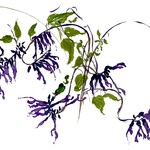 Abstract watercolor painting of intertwining vines with purple flower-like clusters and green leaves, against a stark white background.