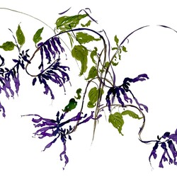 Abstract watercolor painting of intertwining vines with purple flower-like clusters and green leaves, against a stark white background.
