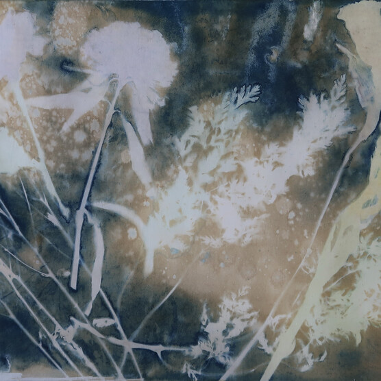 Cyanotype print of plant silhouettes. White imprints of wildflowers and grasses are superimposed against a mottled background of deep blue, beige, and light yellow, evoking a watercolour effect. The composition is a close up and the image is softly focused.