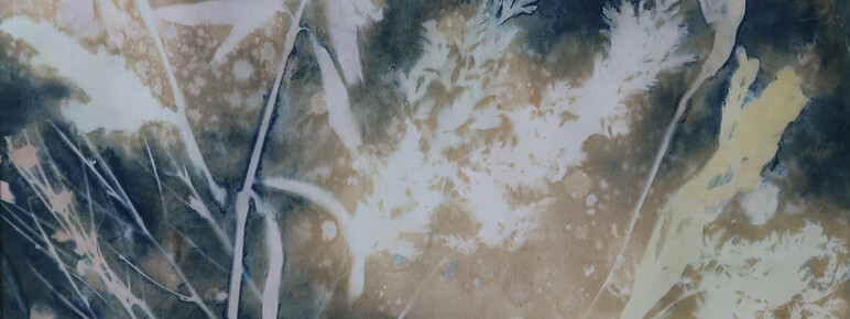 Cyanotype print of plant silhouettes. White imprints of wildflowers and grasses are superimposed against a mottled background of deep blue, beige, and light yellow, evoking a watercolour effect. The composition is a close up and the image is softly focused.
