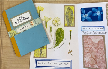 A top-down view of a light blue "My Nature Sketchbook" with a yellow spine, bound with a decorative paper band labelled "Summer." Next to it, an open page from a similar sketchbook displays various botanical art pieces. On the left side of the open page, there are illustrations of a primrose, a pressed leaf, and a small yellow dandelion-like flower, with the word "primrose" handwritten below. Below these are framed prints and a label reading "primula vulgaris." The right side features a blue cyanotype print of flowers labelled "apple blossom / Malus Sylvestris" and a textured pink print of leaves.