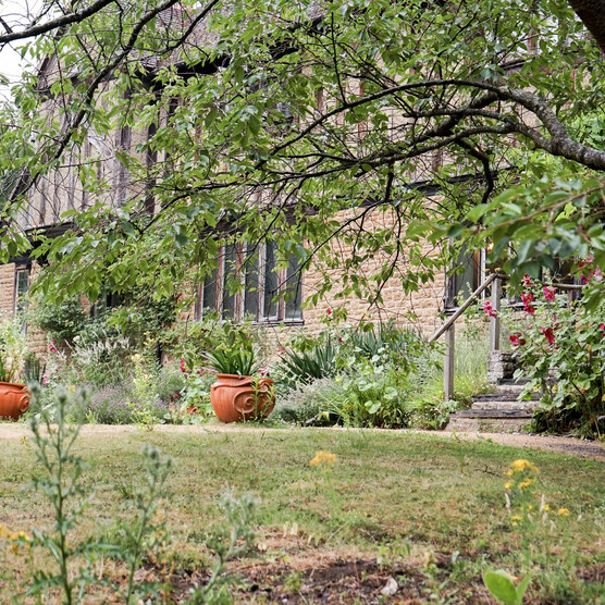Photograph of the lawn outside Limnerslease: artists' home. The foliage interrupts the view of the fascia of the house, and there are three terracotta planters placed in a row by the exterior of the building