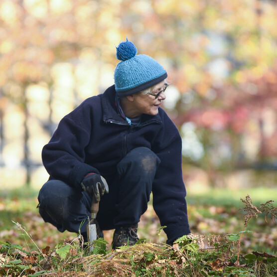 Volunteer crouches down whilst gardening
