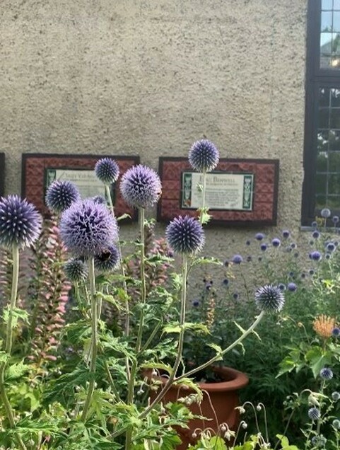 Purple flowers in bloom outside Watts Sculpture Gallery