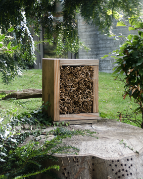 Photo of a man-made bug habitat, made from a wood frame and cut bamboo inside the frame.