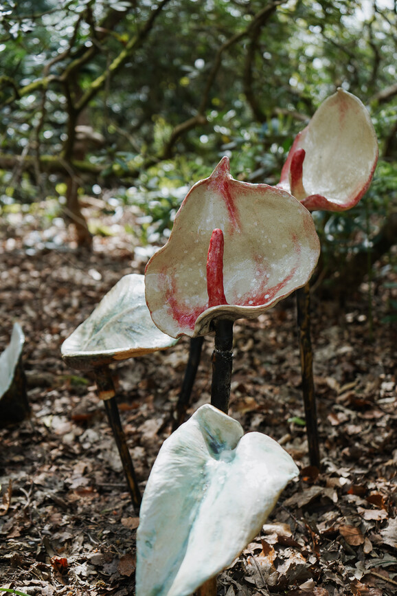 Photo of ceramic peace lily sculptures situated in a woodland setting, coming out of the ground