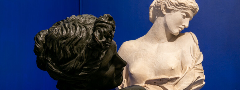 Clytie and Daphne displayed together on a blue background