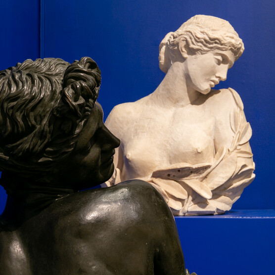 Clytie and Daphne displayed together on a blue background