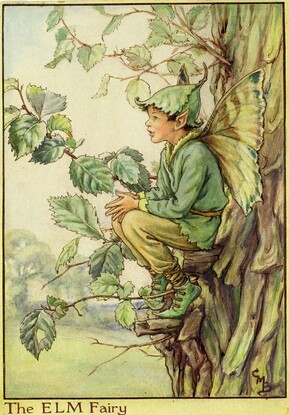The Elm Fairy, The Estate of Cicely Mary Barker, 1940