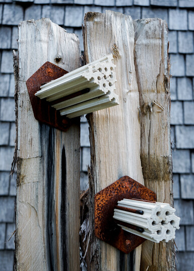 Close-up image of a dissected tree trunk featuring a sculptural habitat