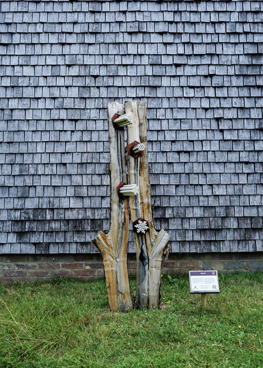 Dissected tree trunk featuring a sculptural habitat