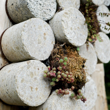 Dissected tree trunk featuring a sculptural habitat made from concrete