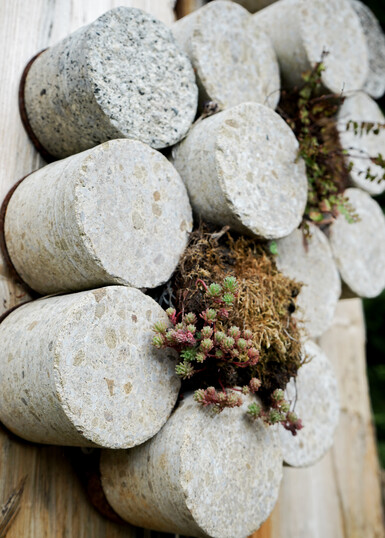 Dissected tree trunk featuring a sculptural habitat made from concrete