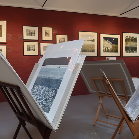 Capturing Light at Watts Contemporary Gallery