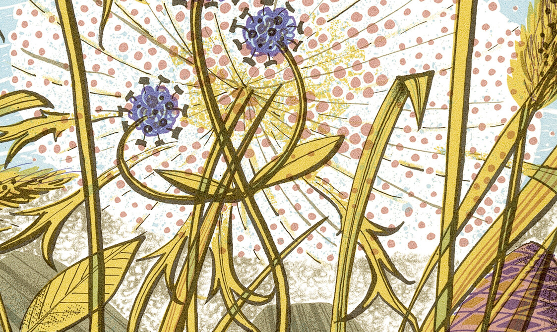 Book cover with the title 'The Book of Wild Flowers' by Angie Lewin and Christopher Stocks