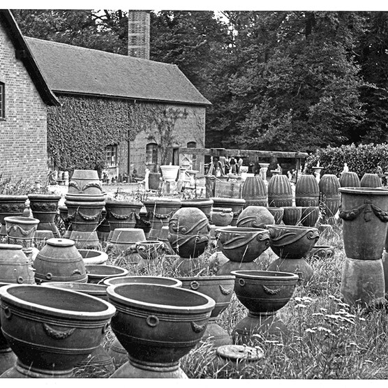 A selection of pots on a lawn