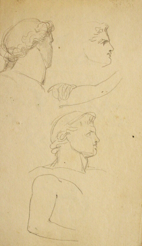 Pencil sketch of a horse tamer