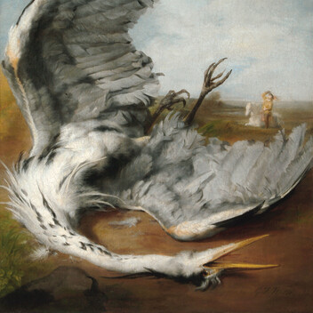 Oil painting of a wounded heron on the floor