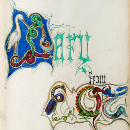 Illustrated colourful designs on paper