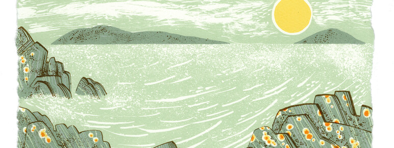 Screenprint artwork of primrose flowers by the coast with the sun overhead by artist, Angie Lewin