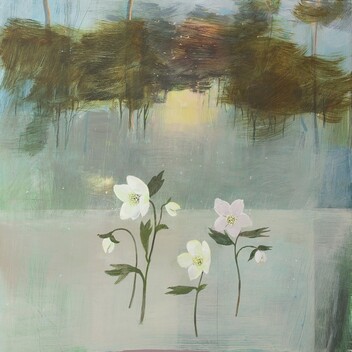 Painting by Fiona Millais of white and pink hellebore flowers with a blue background