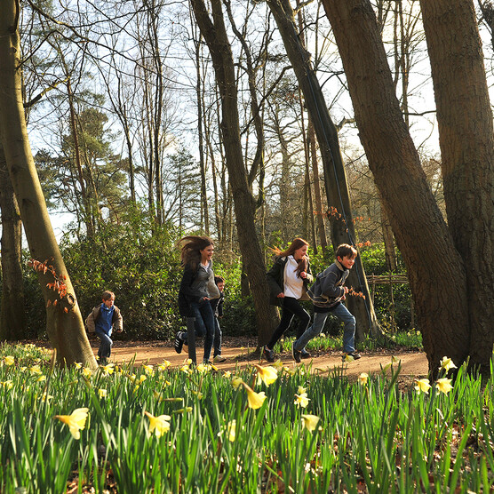 A photograph of children running through the woods laughing and smiling with daffodils blooming in the foreground