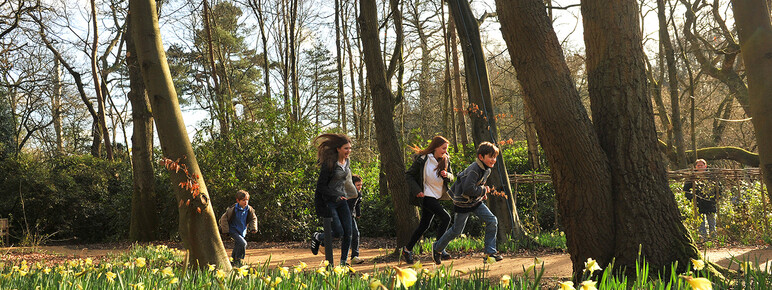 A photograph of children running through the woods laughing and smiling with daffodils blooming in the foreground