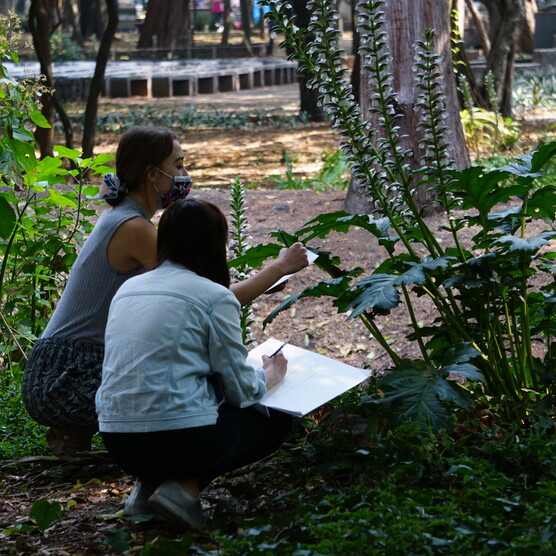 Two women kneeling in a woodland holding sketch pads
