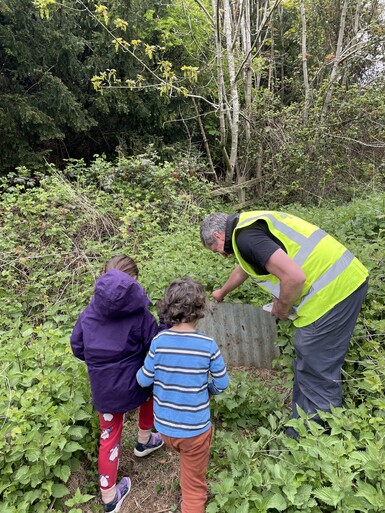 Children look in woodlands for wildlife