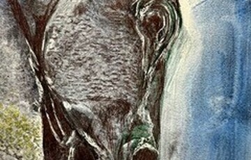 Artwork of the side profile of a black horse's head