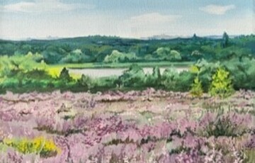 Artwork of a landscape in the countryside. The foreground is a field with purple flowers in, and there are trees and grass in the background