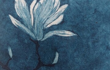 Blue collagraph of a white magnolia flower
