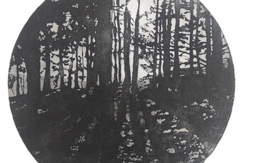 High-contrast etching of a forest with light coming through the trees