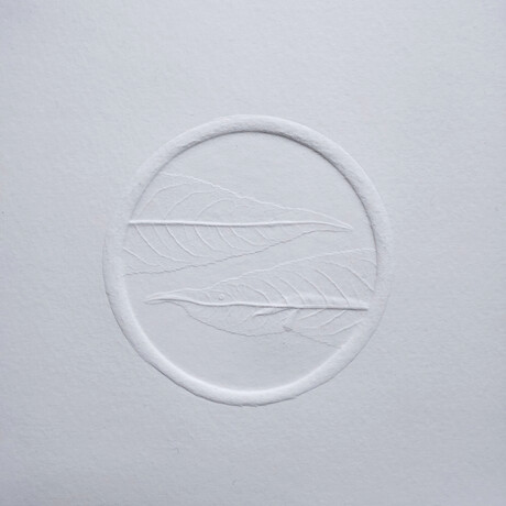 Embossed paper depicting feathers