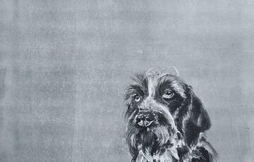 Monotype of a black and white dog. The background is blank and white
