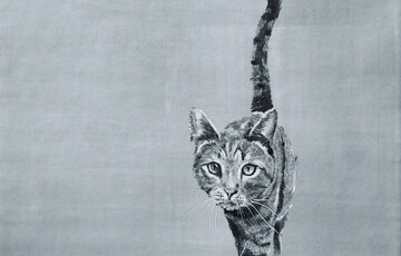 Print of a cat walking. The background is blank and white