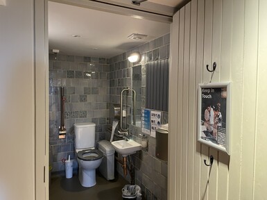 Toilet with sink and hand rail