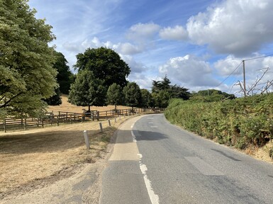 Footpath alongside road