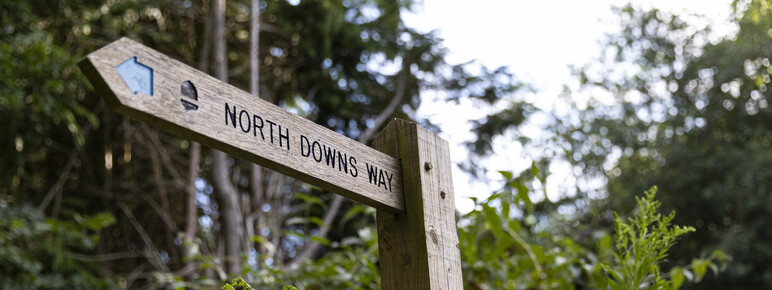 Wooden sign reads "North Downs Way" with an arrow