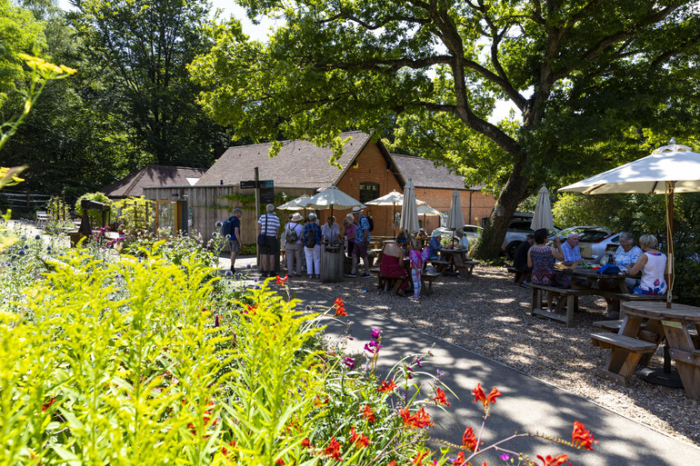 Outside of the Tea Shop with benches