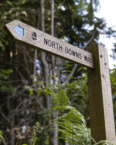 North Downs Way sign