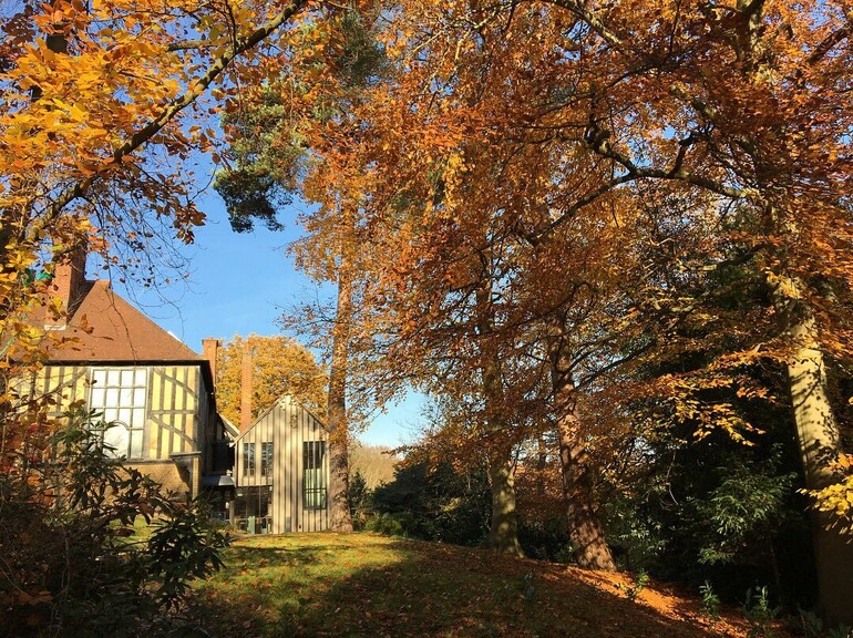 Bright day featuring orange, autumnal trees and sunshine