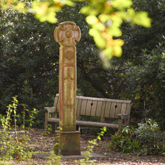 Celtic cross amongst woodlands