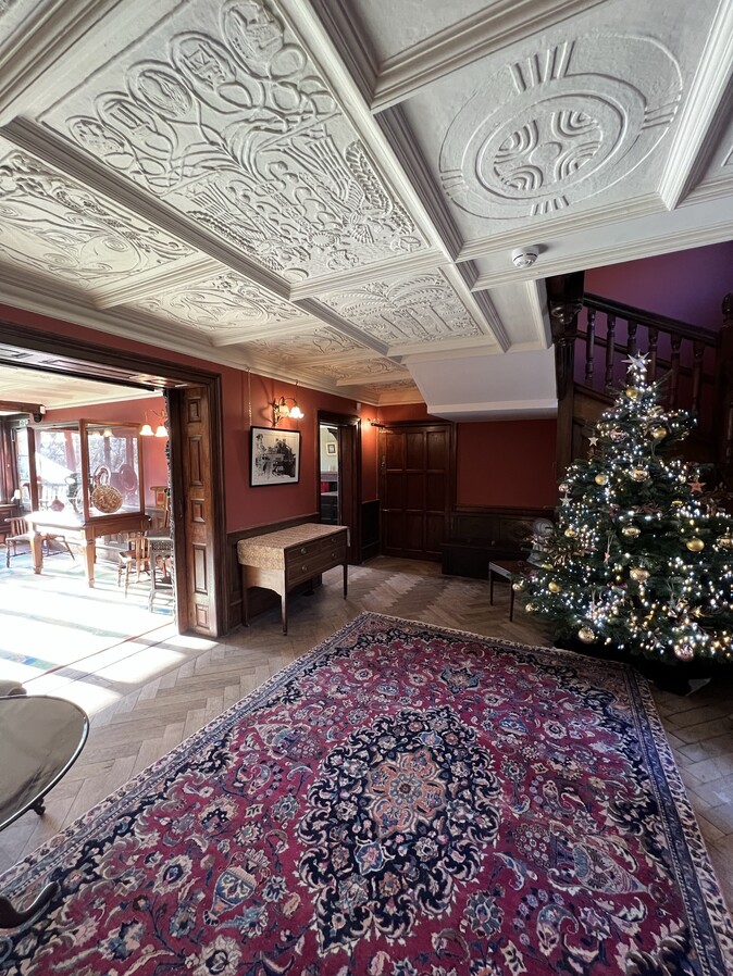 Christmas tree with fairy lights in Limnerslease