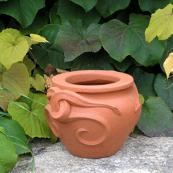 A photo of a terracotta snake pot against a backdrop of green ivy