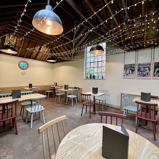 Tables and chairs in the tea shop with a wooden ceiling and lamps